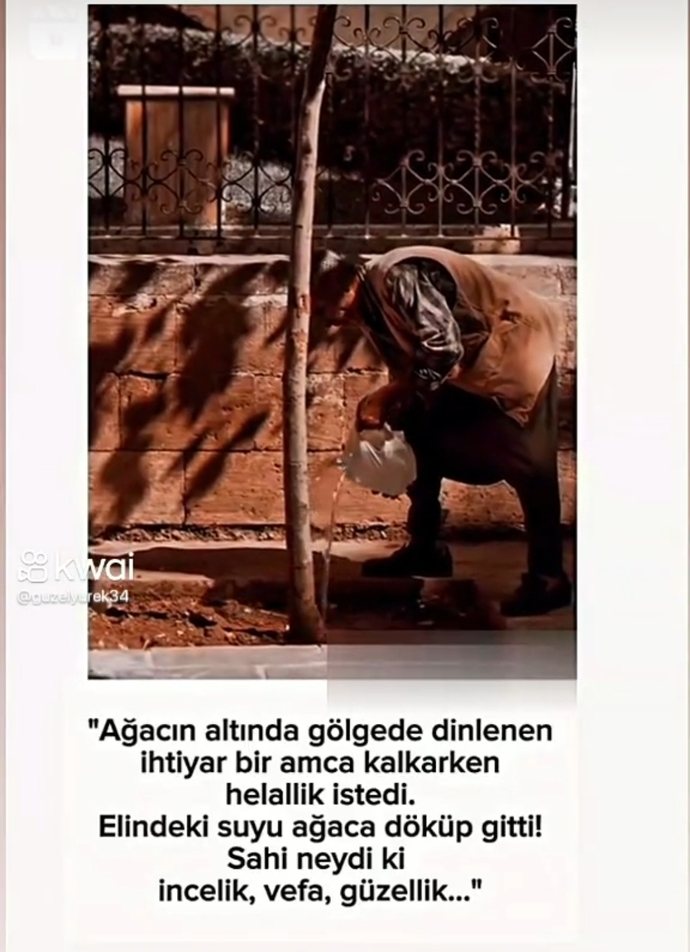 Ne kadar vefalısınız?