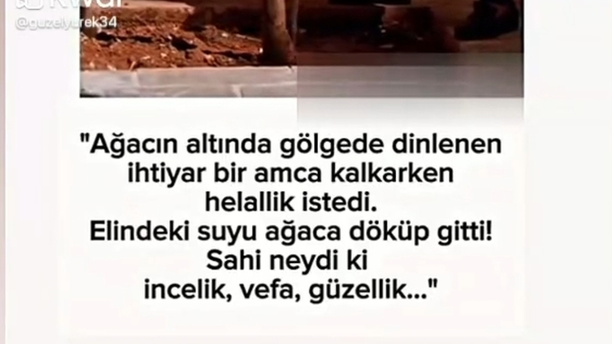 Ne kadar vefalısınız?