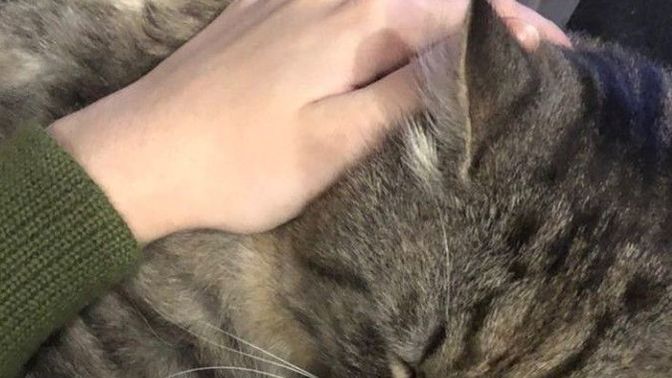 Bilinen ama hatırlanması gereken tavsiyeleriniz var mı?