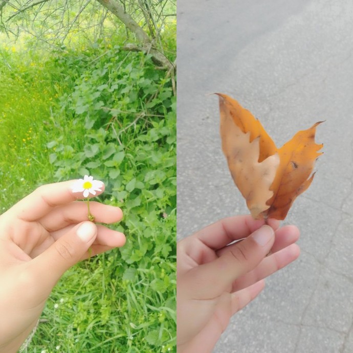 İlkbaharcı mısınız sonbaharcı mı?