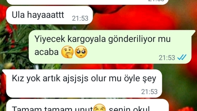 Yiyecek kargoyala gönderiliyor mu 🤔evde yapsam korgoya versem götürmez mi?