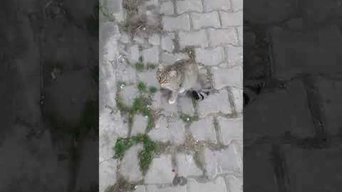 Neler senin icin anlam ifade ediyor?