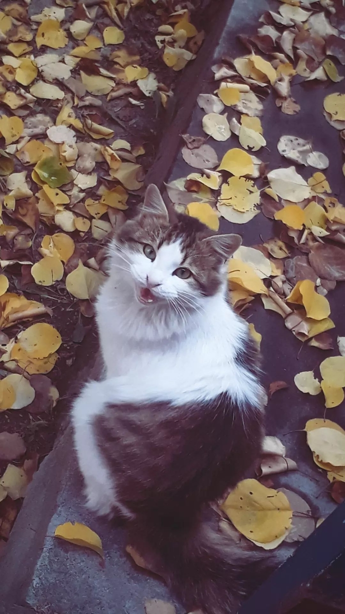 Galerinizdeki en sevdiğiniz fotoğraflar hangileri?