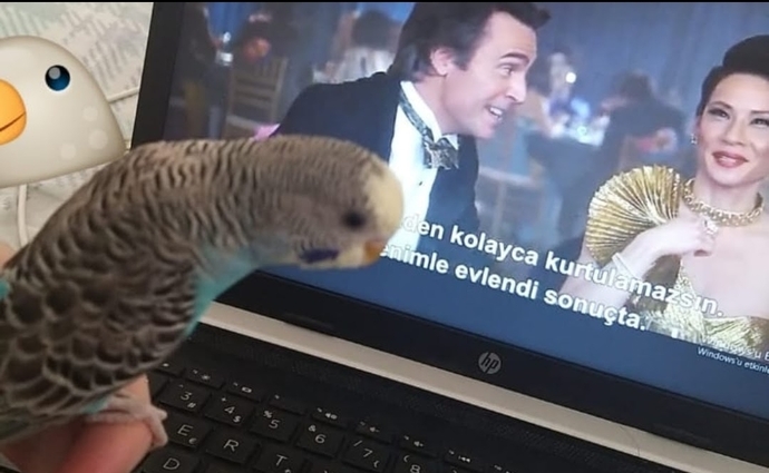 Bulut beni sevmiyor mu?