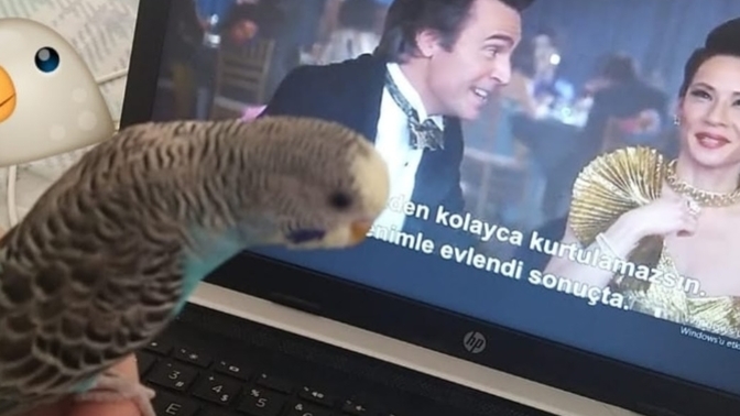 Bulut beni sevmiyor mu?