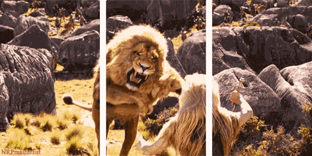“Karizma kelimesinin vücut bulmuş hali” dediğiniz bir hayvan var mı?