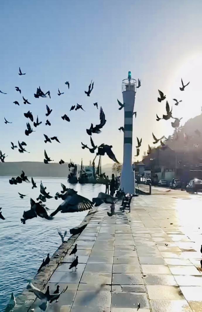 Sahilde yürüyüş yapmayı seviyor musun?