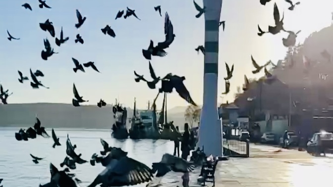 Sahilde yürüyüş yapmayı seviyor musun?