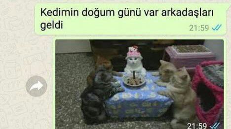 Bir yere davet edildiğinde gitmeme bahanen nedir?
