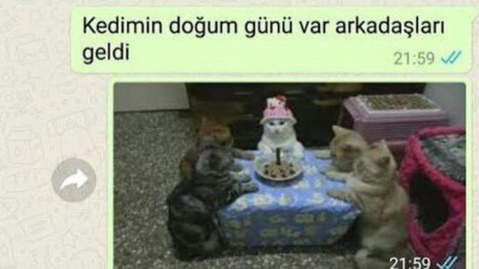 Bir yere davet edildiğinde gitmeme bahanen nedir?