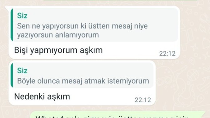 Arkadaşlar sevgilim devamlı üstten cevap yazıyor okur musunuz niye böyle yapıyor sizce ne yapmalıyım?