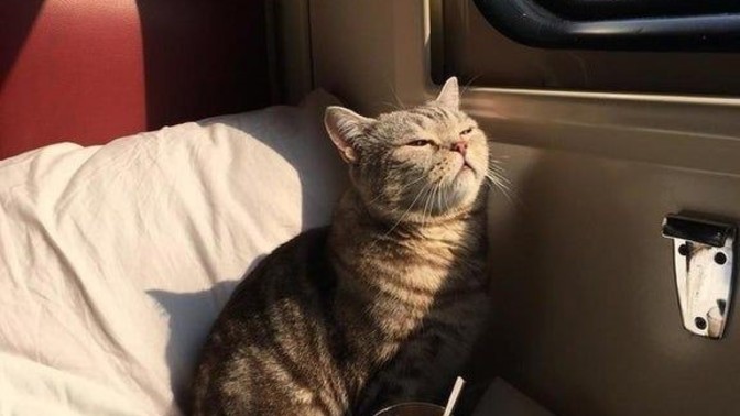 İçimizi ısıtırcasına yüzümüze vuran sabah güneşi mi yoksa ondan gelen günaydın mesajı mı?