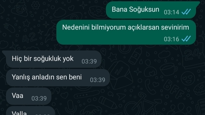 Yazıyorum bakmıyor hiç neden böyle yapıyor en son bunu yazdı bana?