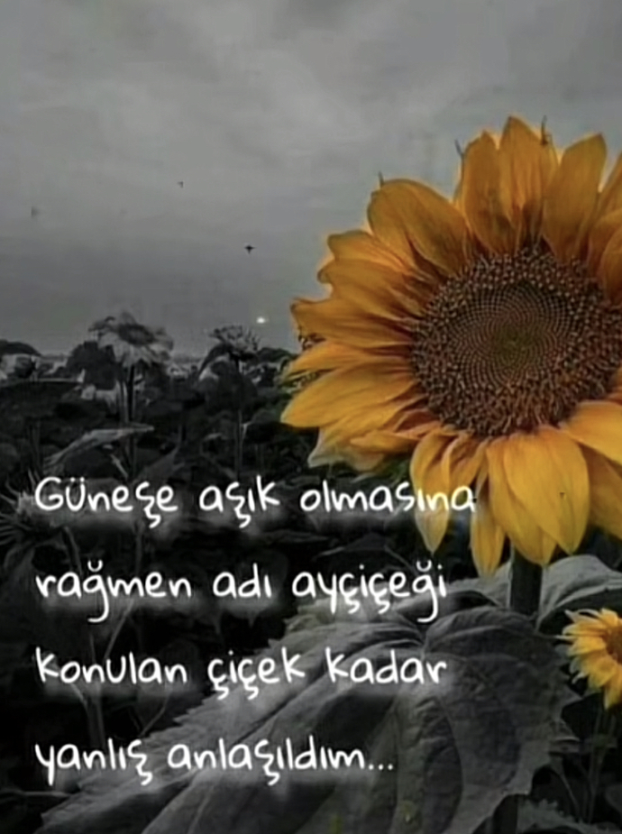 En son kim tarafından, hangi konuda, neden yanlış anlaşıldınız?