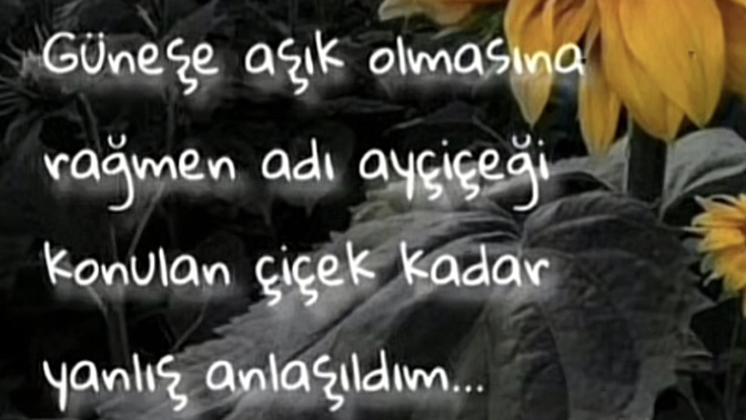 En son kim tarafından, hangi konuda, neden yanlış anlaşıldınız?