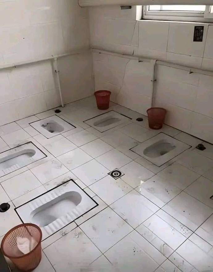 Böyle samimi bir ortamda tuvaletinizi yapabilir misiniz?😂?
