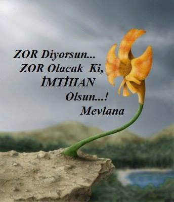 Sizin hayatla imtihanınız nedir?