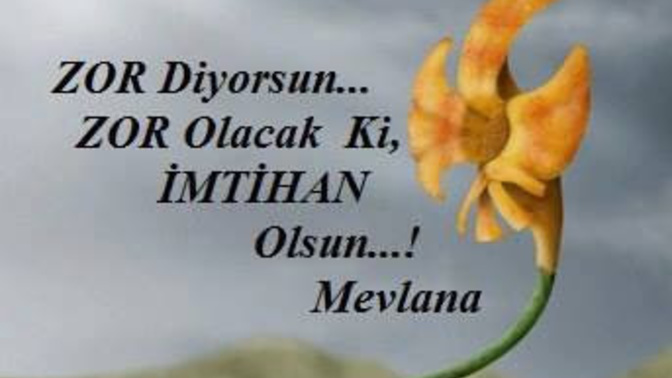 Sizin hayatla imtihanınız nedir?