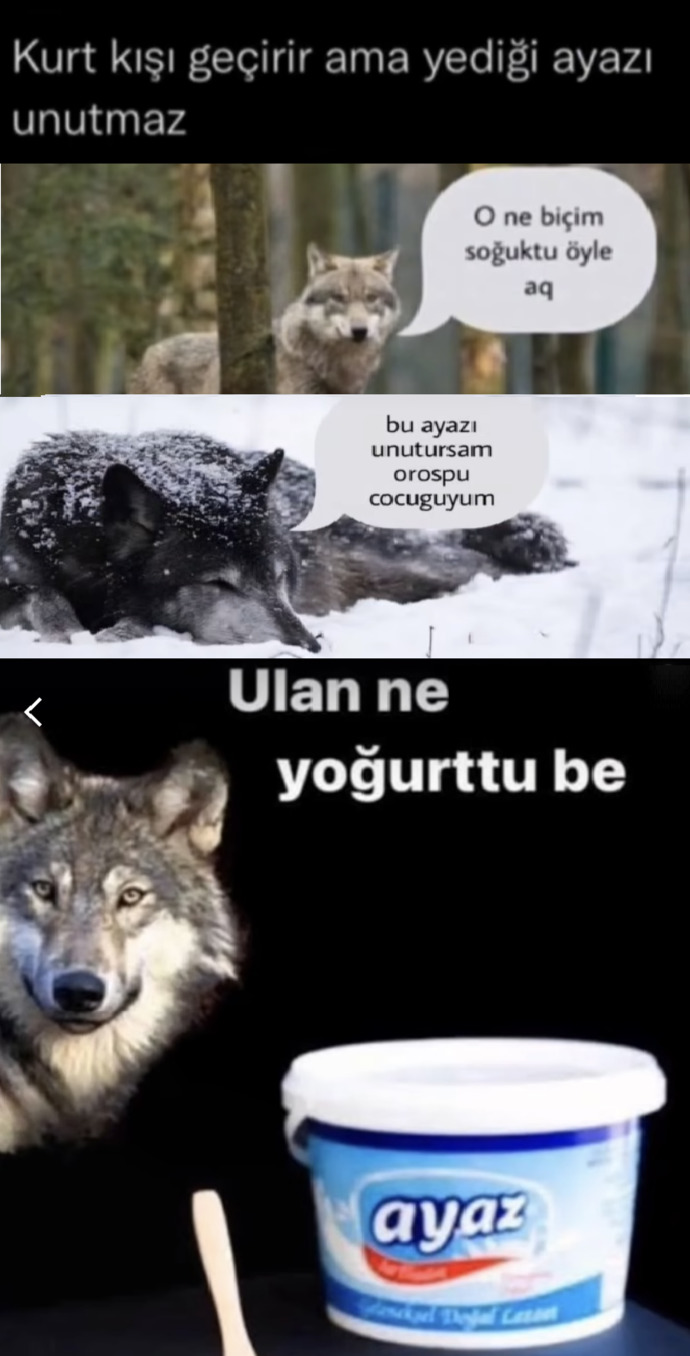 ...