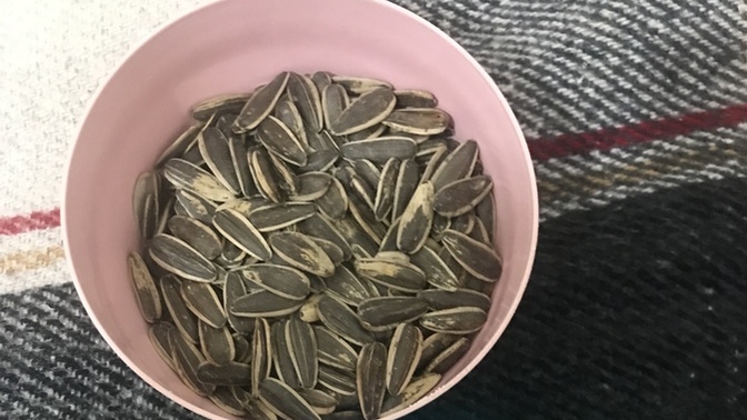 Yağmurlu havada yapılacak en güzel aktivite nedir?