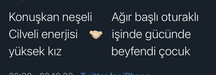 İdeal çift anlayışınız nedir?