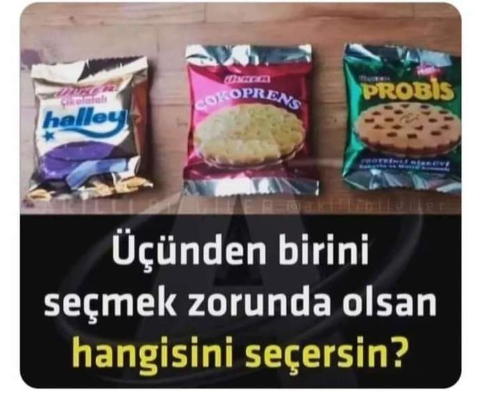 Üçünden birini seçecek olsan hangisini seçerdiniz?