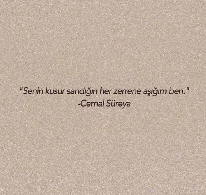 Sizce aşkta kusur var mıdır?