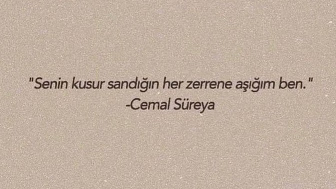 Sizce aşkta kusur var mıdır?