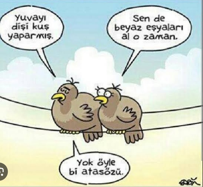 Yuvayı dişi kuş mu yapar?