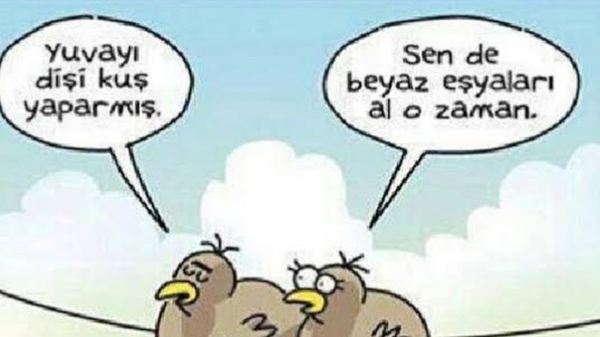 Yuvayı dişi kuş mu yapar?