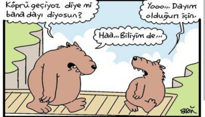 Köprüyü geçene kadar ayıya dayı diyenlerden misin?
