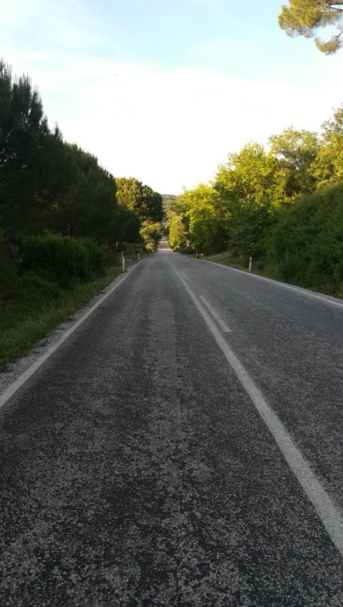 Vazgeçememe sebebin neydi?