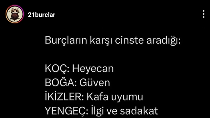 Siz Ne Arıyorsunuz Peki?