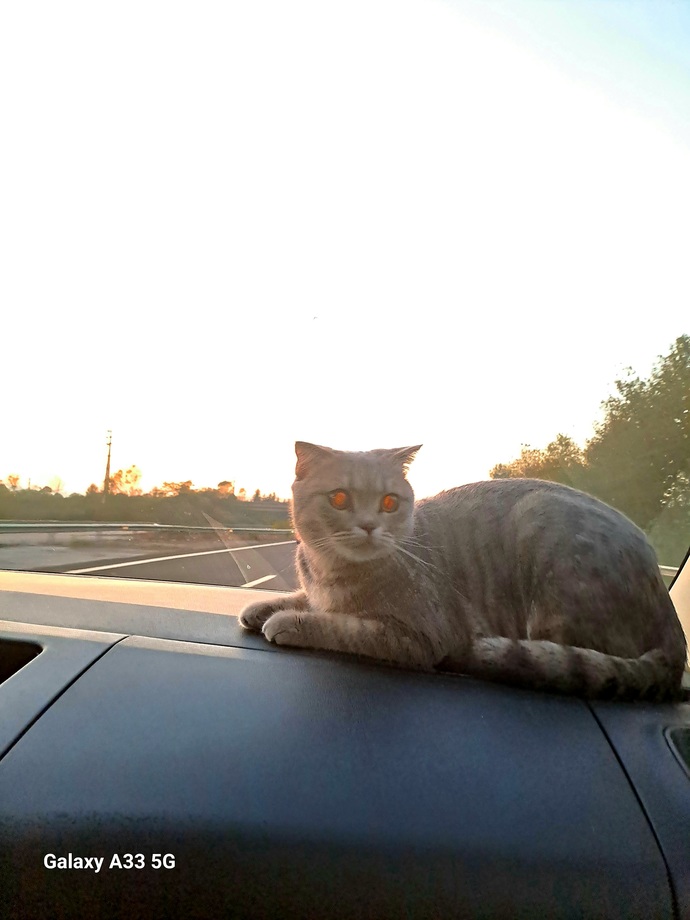 En son nereye seyahat ettin🚗?