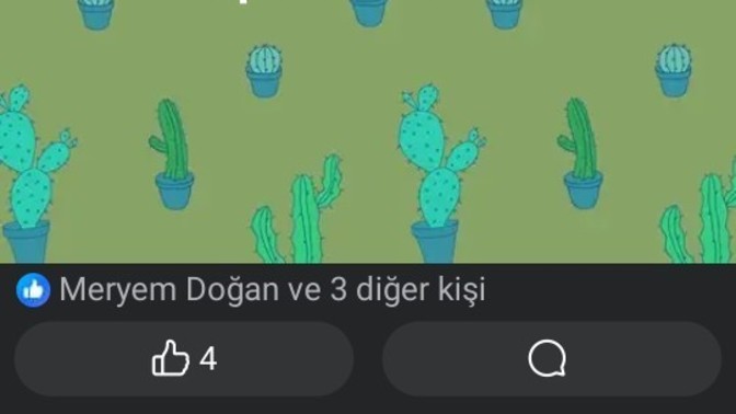 En son neyiniz bitti?