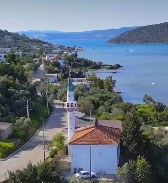 Doğduğunuz yeri ve cinsiyeti seçme şansınız olsaydı, nerede ve ne olarak doğmak isterdiniz?