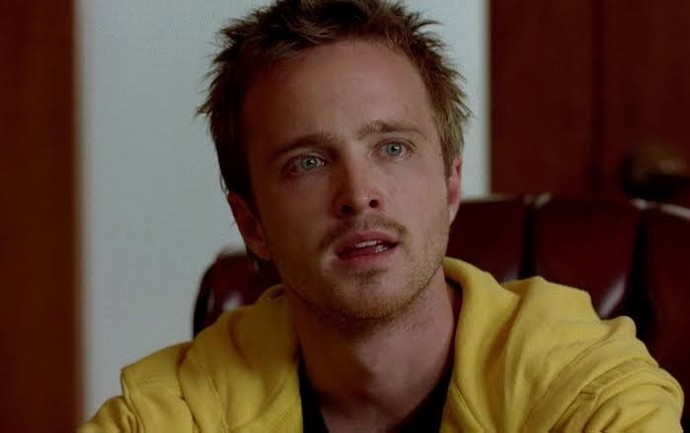 Breaking Bad dizisinin en sinir bozucu karakteri hangisiydi?