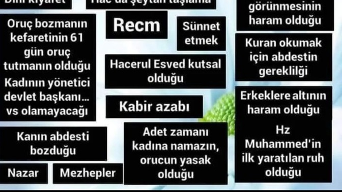 Kuranda olan ya da olmayan sey hakkindaki dusunceleriniz nelerdir?