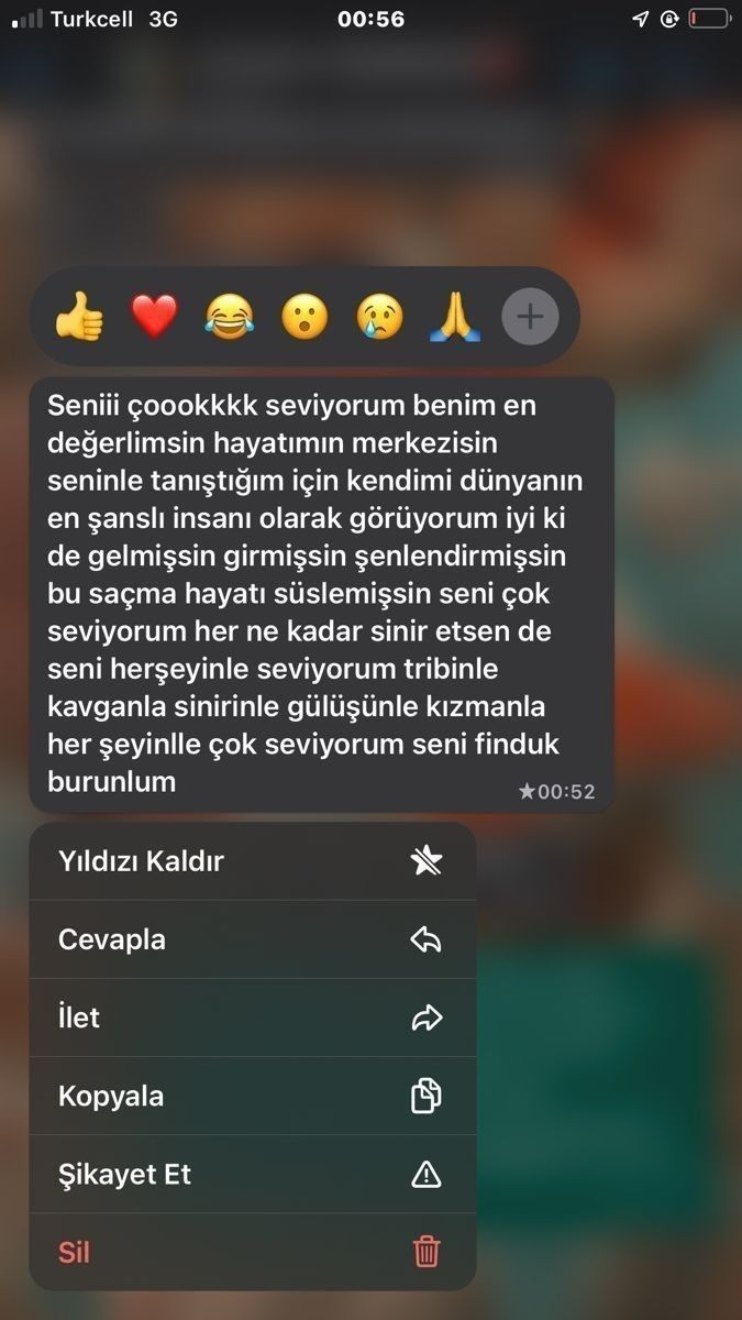 Sevgili ile romantik mesajlaşmayı seviyor musunuz?