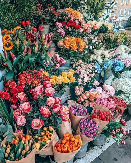 Bir nefeslik duraklarda çiçek açtım 🌸Kolayca çiçek açar mısın?
