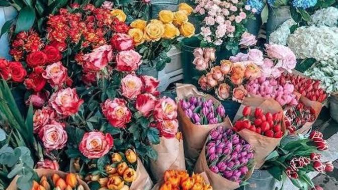 Bir nefeslik duraklarda çiçek açtım 🌸Kolayca çiçek açar mısın?