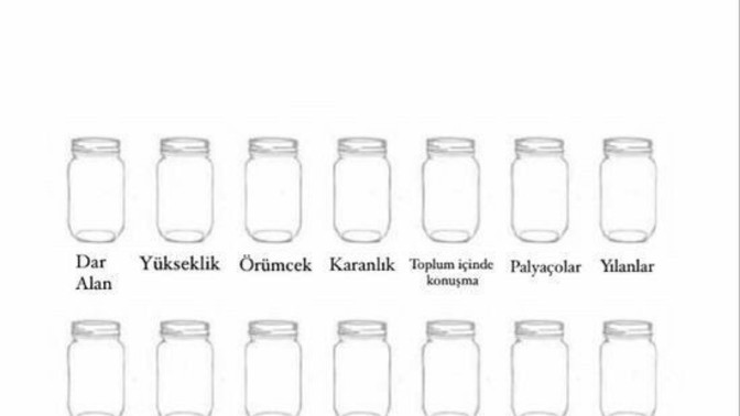 Resimdeki korku kavanozlarından hangisine girerdin?