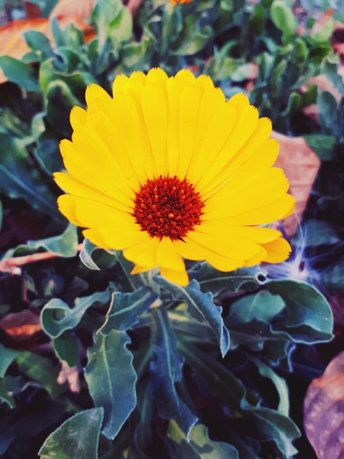 çok güzelsin.. 😍