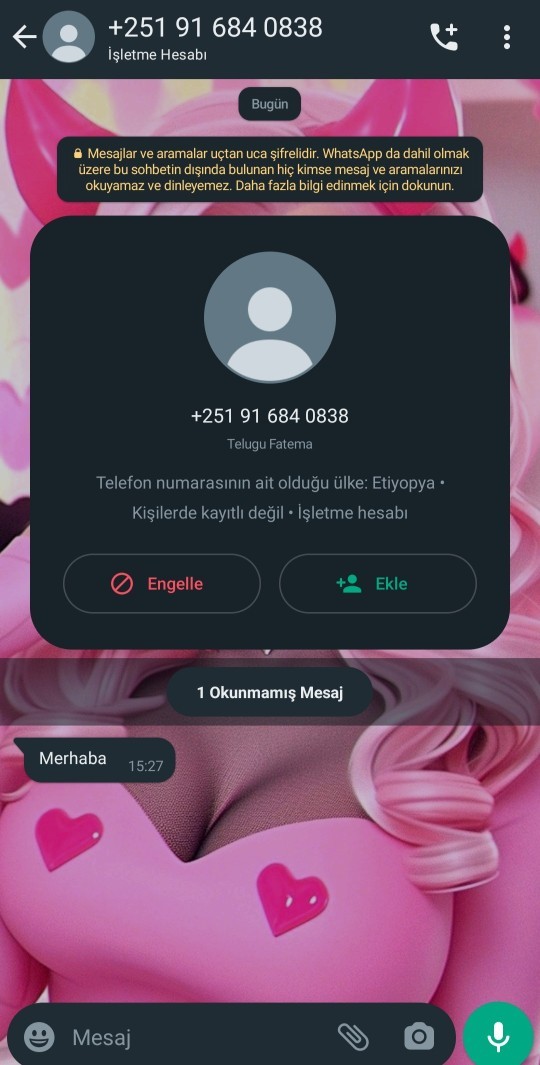 Bu ara böyle numaralardan mesaj gelip duruyor nesne bilen var mı?