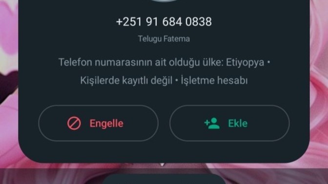 Bu ara böyle numaralardan mesaj gelip duruyor nesne bilen var mı?