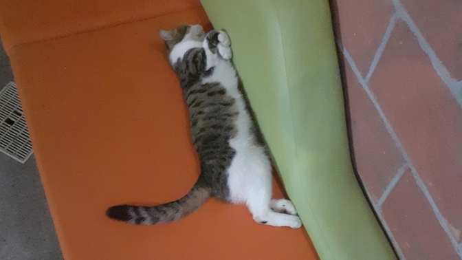 Ben şimdi buna tesisi kapatıyorum hadi kalk nasıl diyecem?