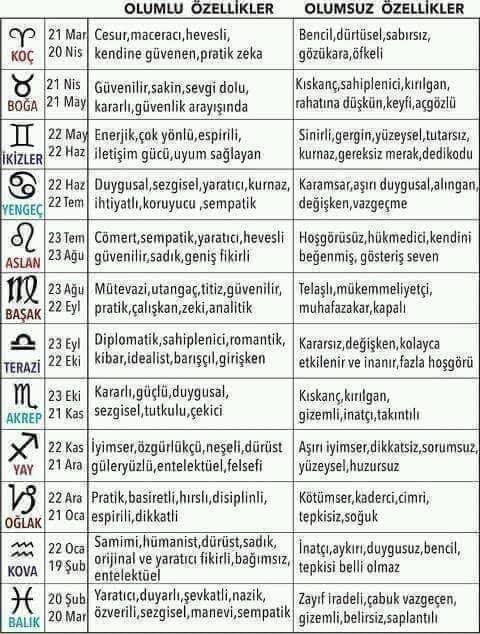 Burcunuzun olumlu ve olumsuz özellikleri neler?