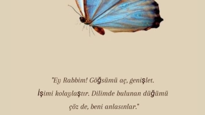 Beni neden engelliyorlar ben naptım size?