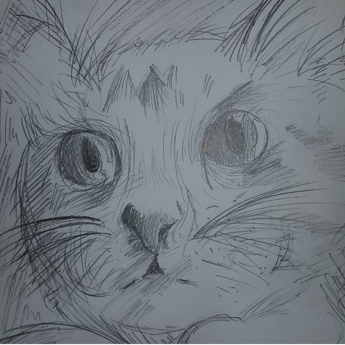Bu küçük arkadaşın sorunu ne olabilir?😻Sevimli misafirimi rahat ettirememiş olabilir miyim 🤔?
