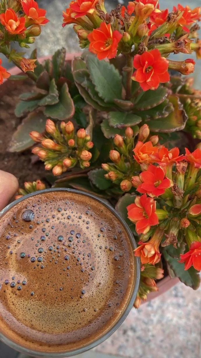 Gönül masumdur umar🧡